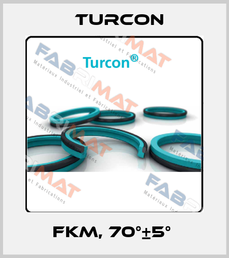 FKM, 70°±5°  Turcon