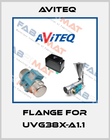 FLANGE FOR UVG38X-A1.1  Aviteq