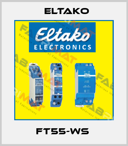 FT55-WS  Eltako