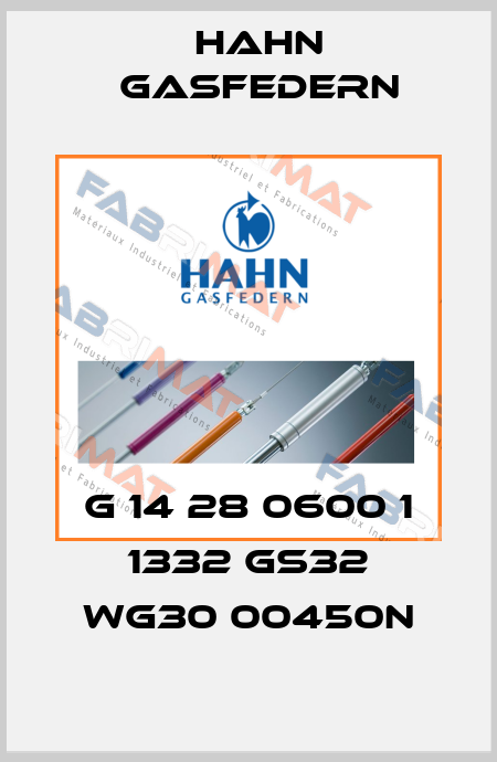 G 14 28 0600 1 1332 GS32 WG30 00450N Hahn Gasfedern