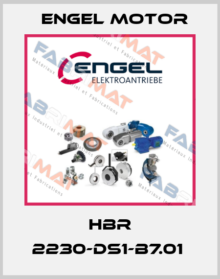 HBR 2230-DS1-B7.01  Engel Motor