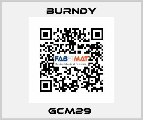GCM29  Burndy