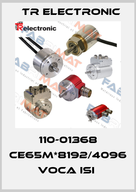110-01368 CE65M*8192/4096 VOCA ISI  TR Electronic