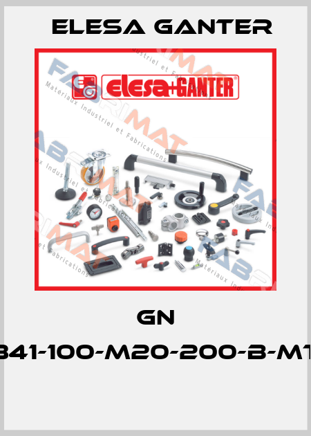 GN 341-100-M20-200-B-MT  Elesa Ganter