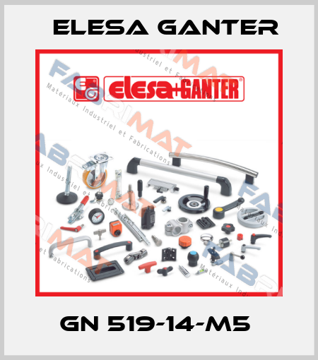 GN 519-14-M5  Elesa Ganter
