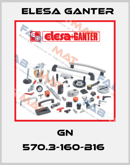 GN 570.3-160-B16  Elesa Ganter