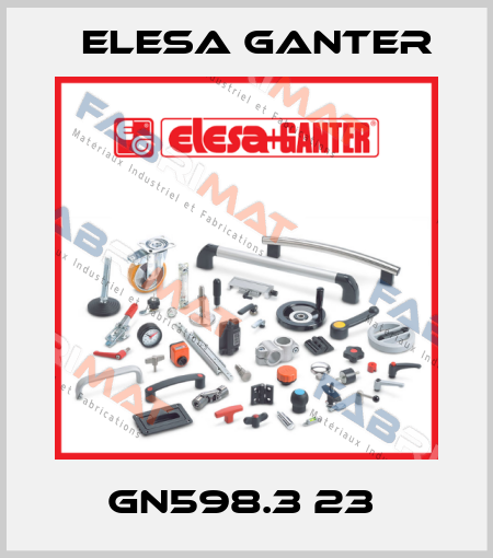 GN598.3 23  Elesa Ganter