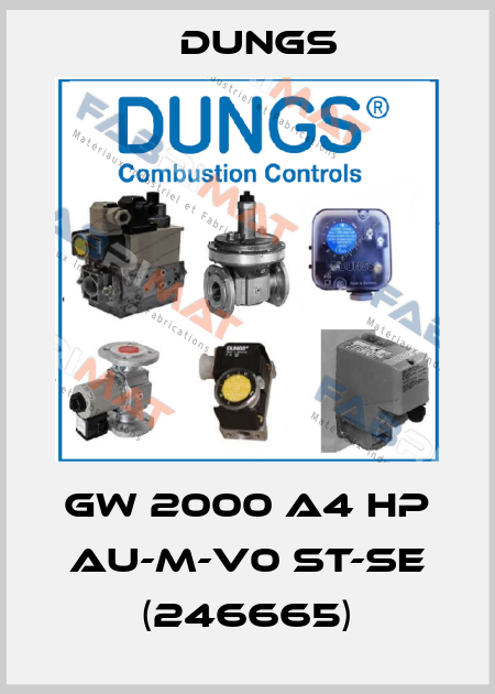 GW 2000 A4 HP AU-M-V0 ST-SE (246665) Dungs