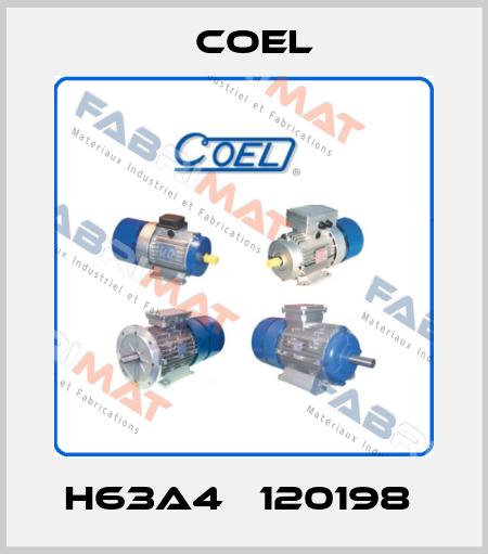 H63A4   120198  Coel