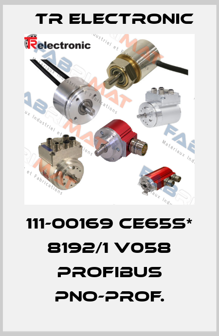 111-00169 CE65S* 8192/1 V058 PROFIBUS PNO-PROF. TR Electronic