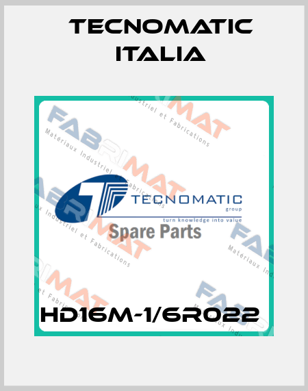 HD16M-1/6R022  Tecnomatic Italia
