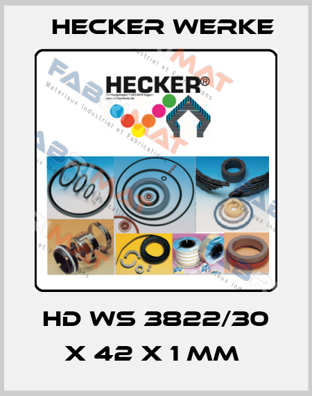 HD WS 3822/30 X 42 X 1 MM  Hecker Werke