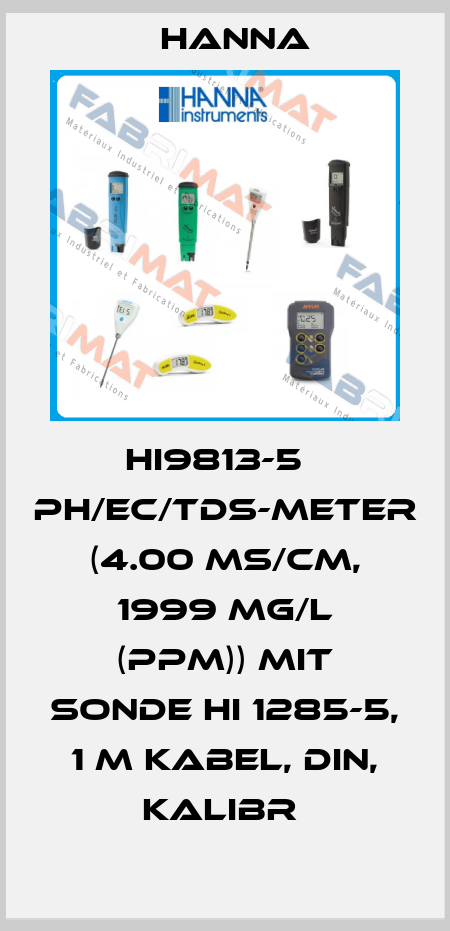 HI9813-5   PH/EC/TDS-METER (4.00 MS/CM, 1999 MG/L (PPM)) MIT SONDE HI 1285-5, 1 M KABEL, DIN, KALIBR  Hanna