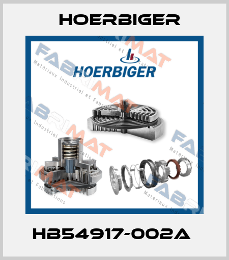HB54917-002A  Hoerbiger