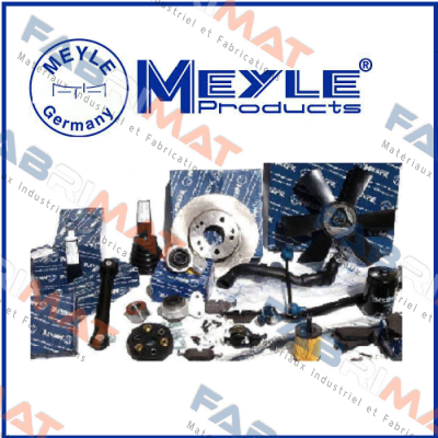 1130110036 OIL PUMP  Meyle