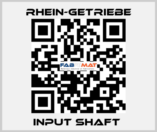 INPUT SHAFT  Rhein-Getriebe