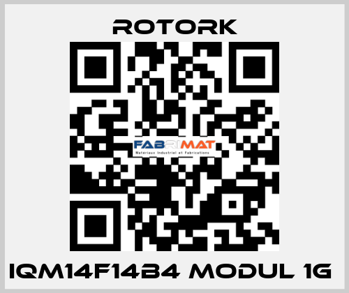 IQM14F14B4 MODUL 1G  Rotork