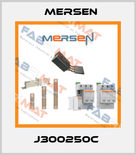 J300250C  Mersen
