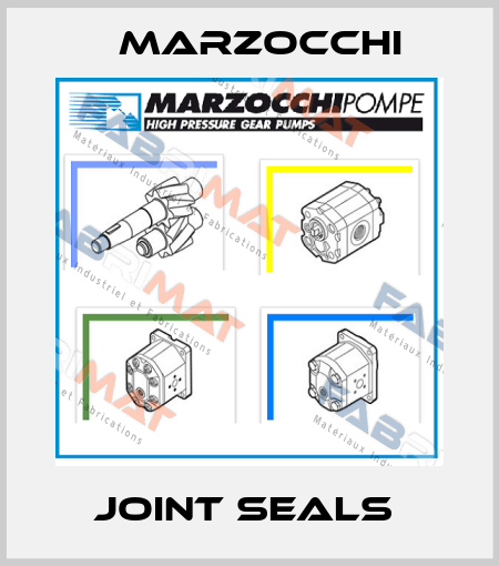 JOINT SEALS  Marzocchi