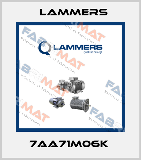 7AA71M06k  Lammers
