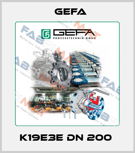 K19E3E DN 200  Gefa