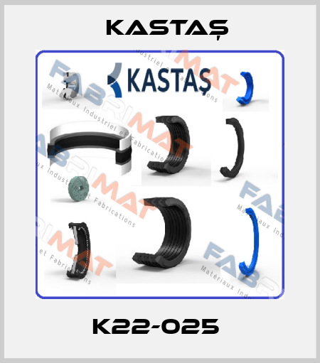 K22-025  Kastaş