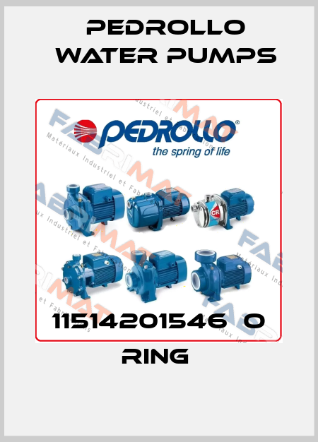 11514201546  O RING  Pedrollo Water Pumps