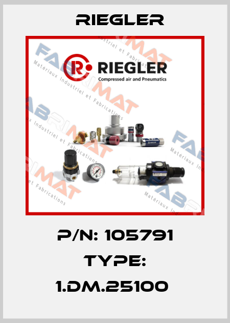 P/N: 105791 Type: 1.DM.25100  Riegler