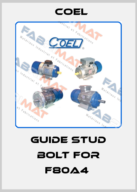 Guide stud bolt for F80A4  Coel
