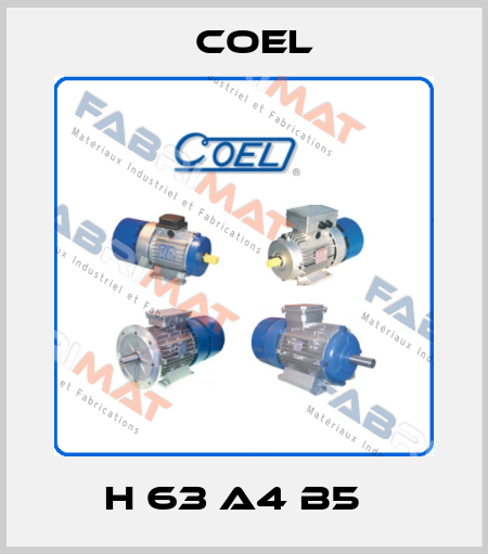 H 63 A4 B5   Coel