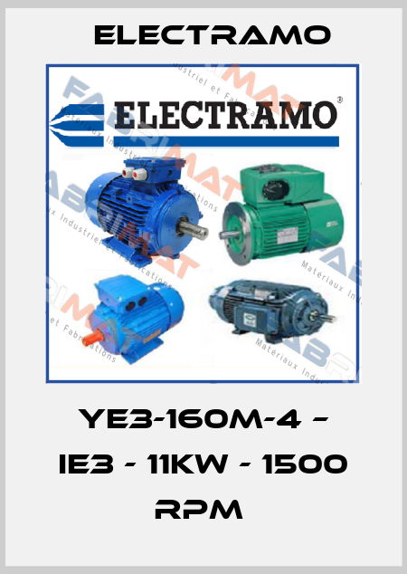 YE3-160M-4 – IE3 - 11kW - 1500 rpm  Electramo