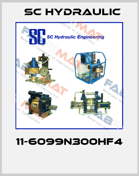 11-6099N300HF4  SC Hydraulic