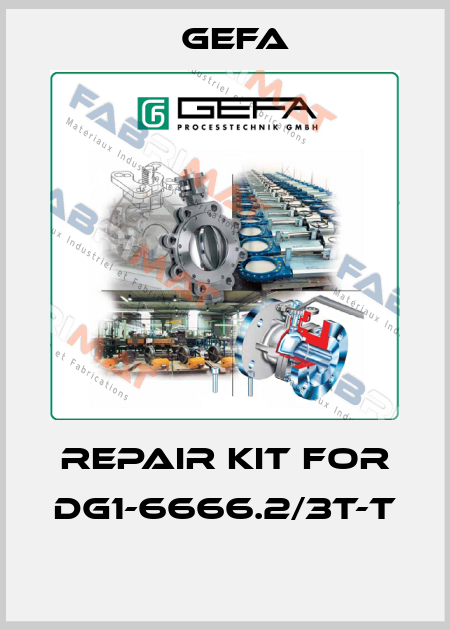 Repair kit for DG1-6666.2/3T-T  Gefa