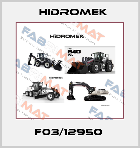 F03/12950  Hidromek