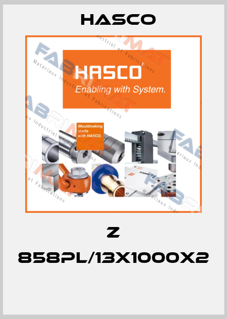 Z 858PL/13x1000x2  Hasco