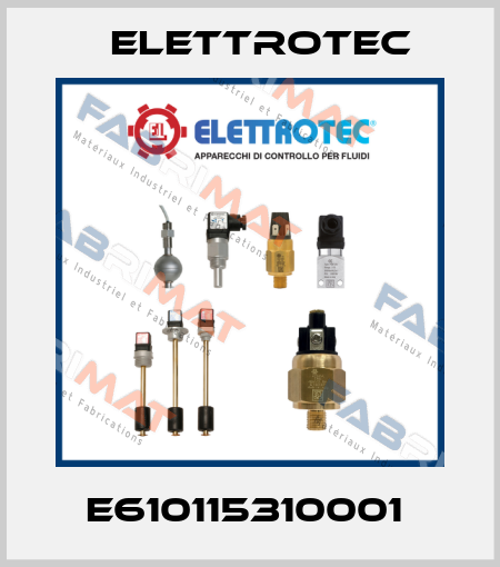 E610115310001  Elettrotec