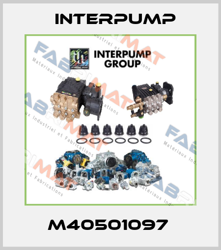 M40501097  Interpump