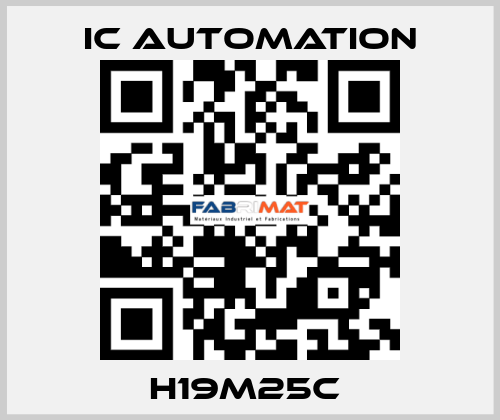 H19M25C  ic automation