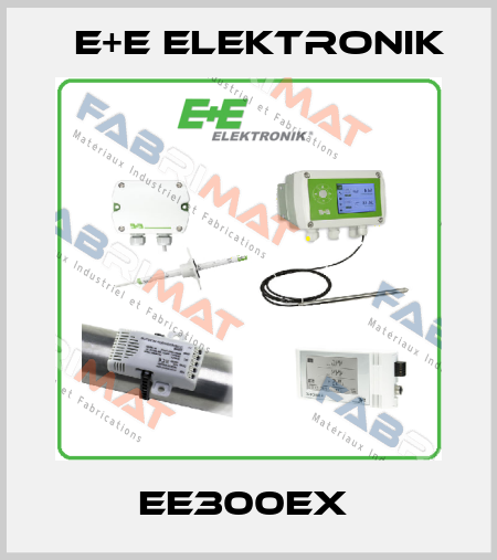 EE300Ex  E+E Elektronik
