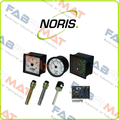 FAJ11-0322-E  Noris