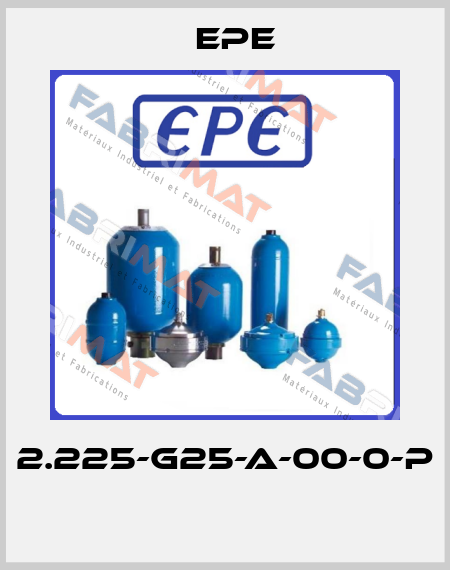 2.225-G25-A-00-0-P  Epe