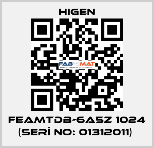 FEAMTDB-6A5Z 1024 (SERİ NO: 01312011)  Higen