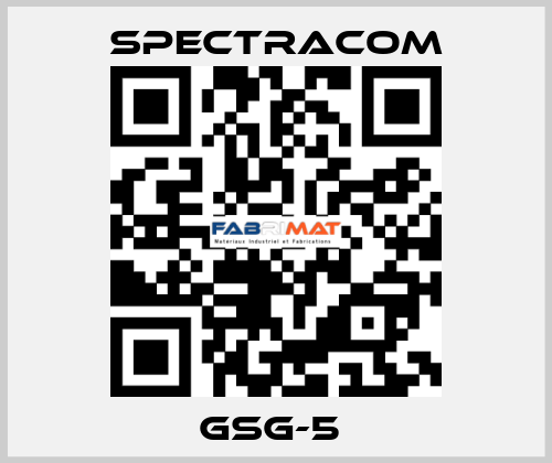 GSG-5  SPECTRACOM