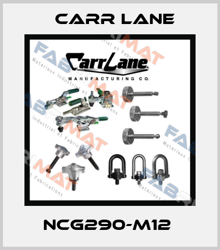 NCG290-M12  Carr Lane