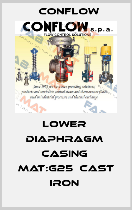 LOWER  DIAPHRAGM  CASING  MAT:G25  CAST IRON  CONFLOW