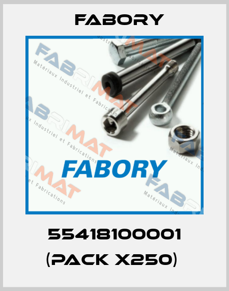 55418100001 (pack x250)  Fabory