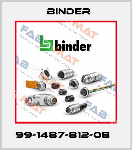 99-1487-812-08   Binder