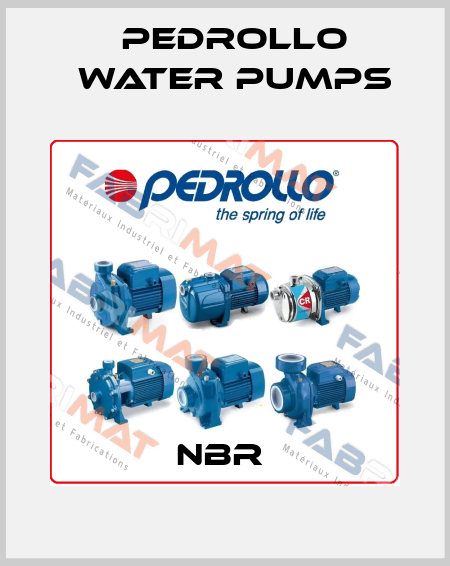 NBR  Pedrollo Water Pumps