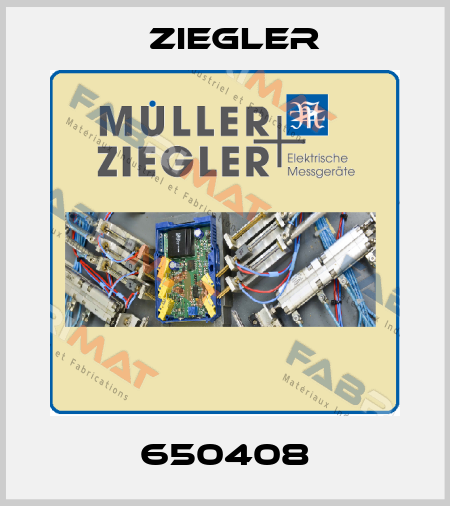 650408 Ziegler