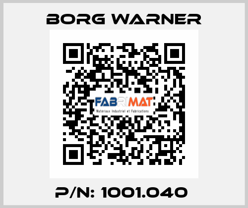 P/N: 1001.040  Borg Warner
